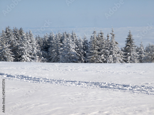 Winter Landscape of Vitosha Mountain, Bulgaria photo