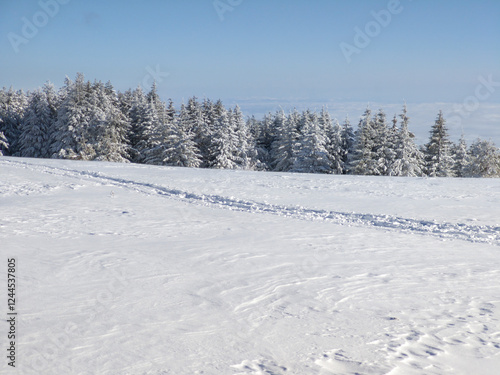 Winter Landscape of Vitosha Mountain, Bulgaria photo