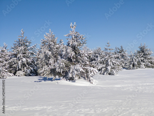 Winter Landscape of Vitosha Mountain, Bulgaria photo