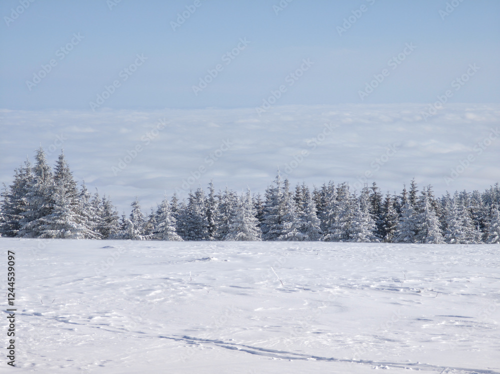 Winter Landscape of Vitosha Mountain, Bulgaria Winter Landscape of Vitosha Mountain, Bulgaria