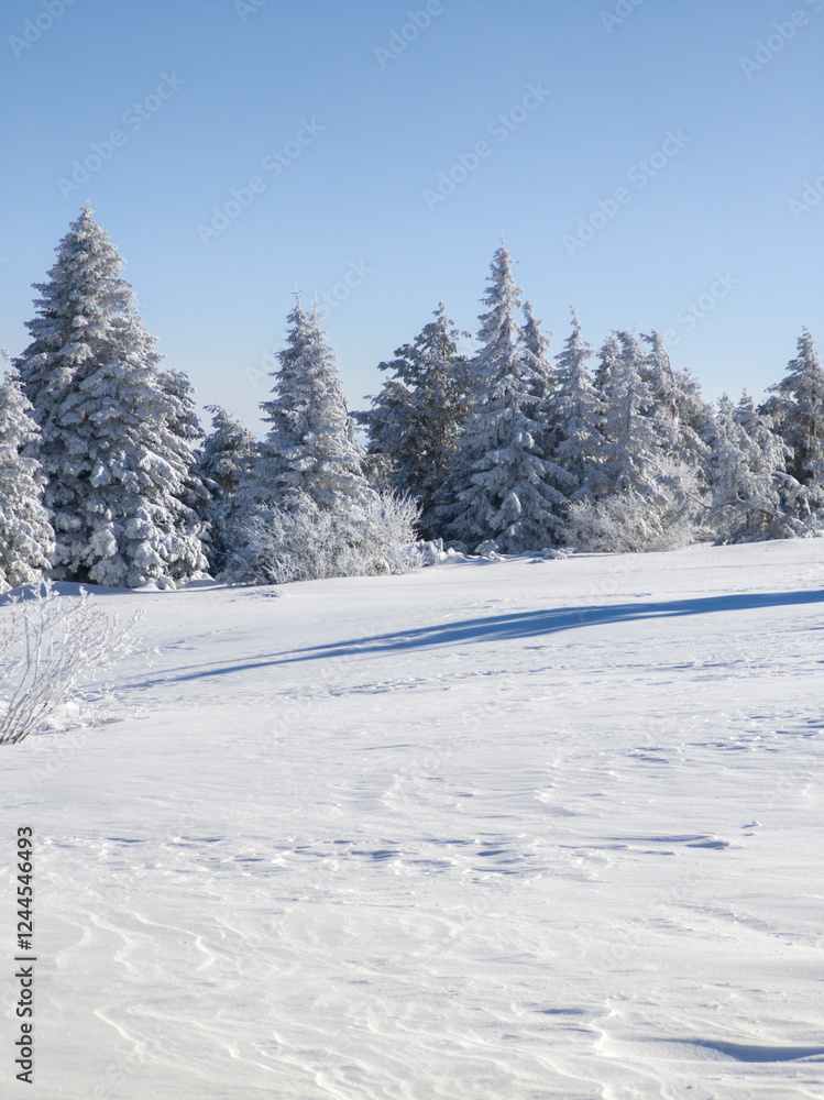 Winter Landscape of Vitosha Mountain, Bulgaria Winter Landscape of Vitosha Mountain, Bulgaria