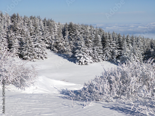 Winter Landscape of Vitosha Mountain, Bulgaria photo