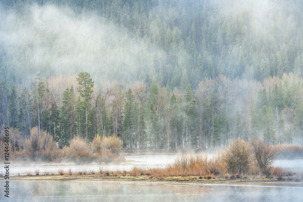 Fototapeta premium USA, Wyoming, Grand Teton National Park. Fog and mist above Oxbow Bend on spring morning.
