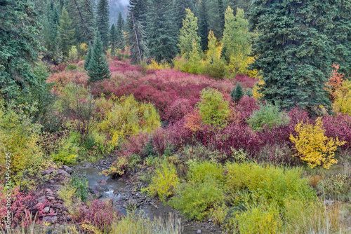 USA, Wyoming, Hoback, on Highway 89 south of Jackson small stream edged by fall colors with dogwood and willows photo