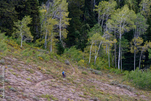 USA, Wyoming. Man biking on singletrack trail, Caribou-Targhee National Forest photo