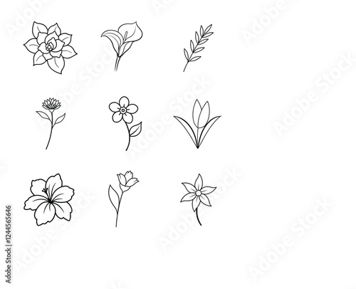 Set of flower line art vector illustration