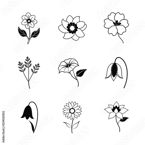 Set of flower line art vector illustration