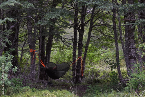 Subject sleeping in a hammock in a peaceful forest. Tranquil nature, relaxation, forest landscape, greenery, outdoor rest, calm, serenity, peaceful sleep, wilderness, escape, forest therapy