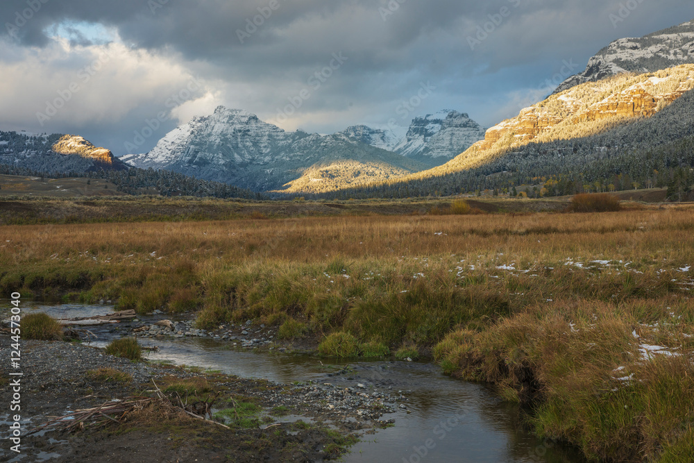 Autumn spotlight. beartooth Mountains, Soda Butte Creek, Lamar Valley Autumn spotlight. beartooth Mountains, Soda Butte Creek, Lamar Valley