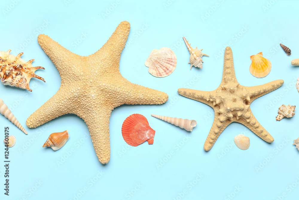Seashells and starfishes on blue background Seashells and starfishes on blue background