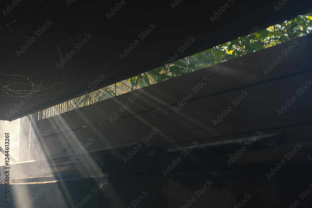 Sun streaks or rays piercing through mist in the home garden, sunshine through leaves on the balcony. Sunburst or sunbeam through leaves.