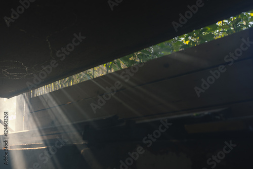 Obraz na płótnie Sun streaks or rays piercing through mist in the home garden, sunshine through leaves on the balcony. Sunburst or sunbeam through leaves. w salonie