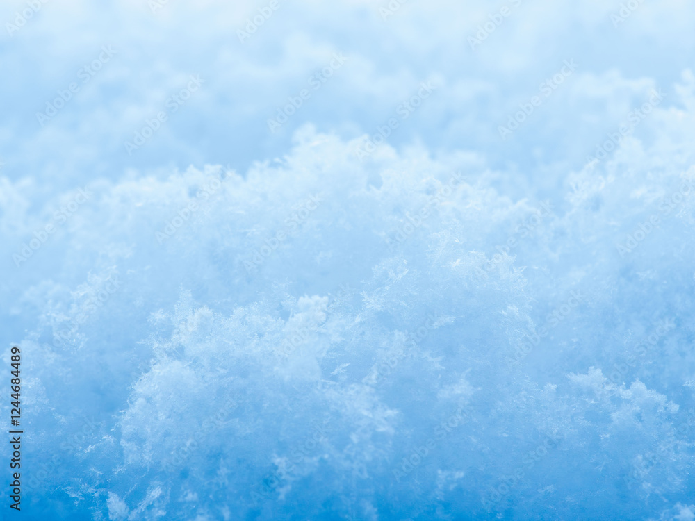 降り積もったばかりの新雪13 降り積もったばかりの新雪13
