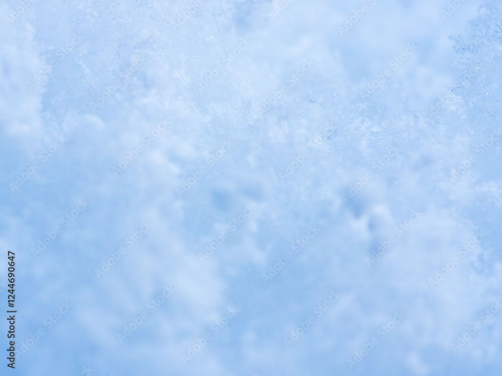 Obraz premium 降り積もったばかりの新雪のアップ21