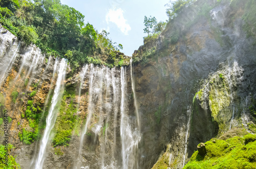 Majestic Waterfall Cascading Through a Lush Forest