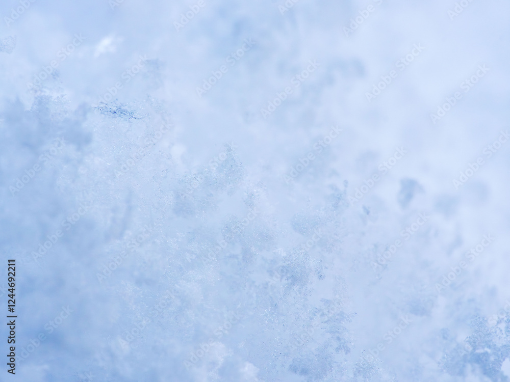 Fototapeta premium 降り積もったばかりの新雪のアップ23