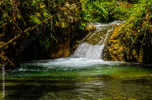 Majestic Waterfall Cascading Through a Lush Forest