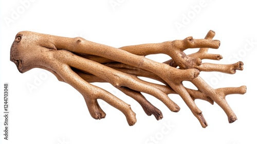 Intricate Light Brown Root System on White Background photo