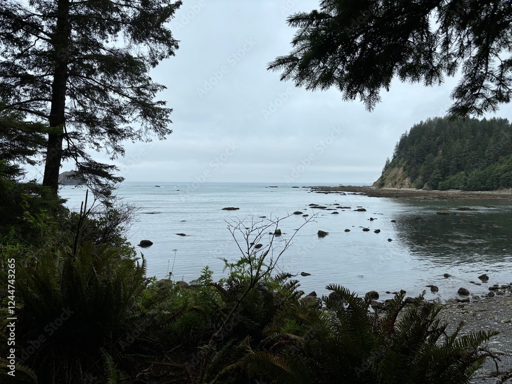 cloudy ocean view in olympic national park cloudy ocean view in olympic national park