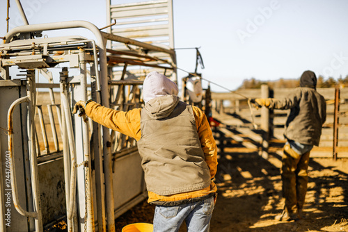 Farmer working a cattle chute on a farm in rural Kansas 