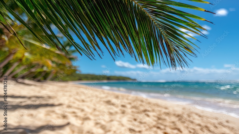 A serene beach scene with palm leaves in the foreground and a tranquil ocean backdrop. A serene beach scene with palm leaves in the foreground and a tranquil ocean backdrop.