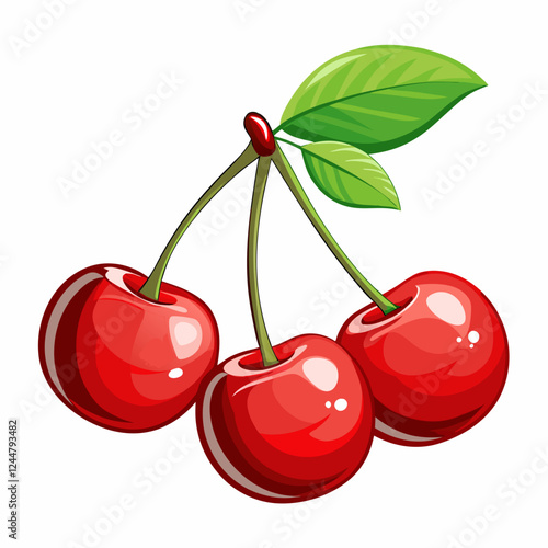 vector illustration of cherry
