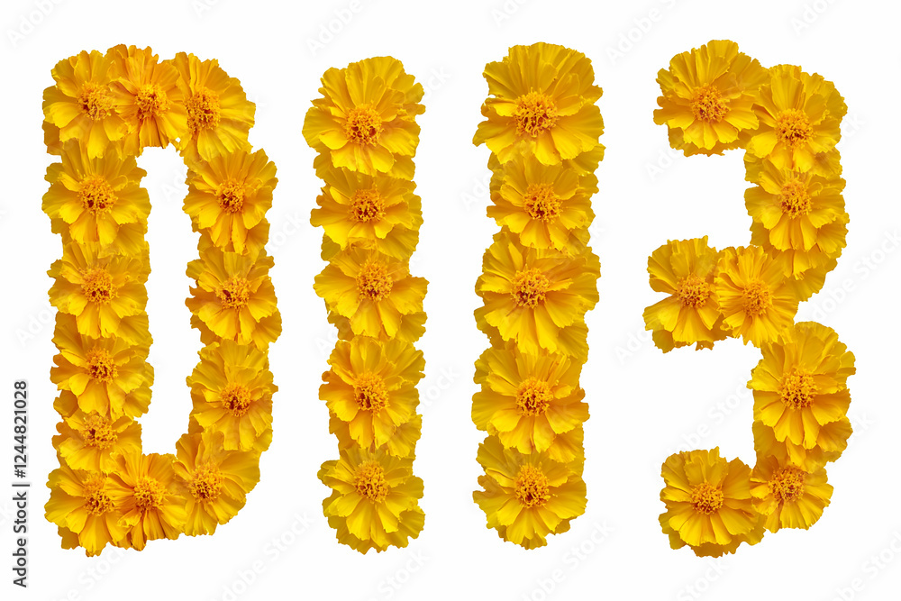 Yellow Flowers Arranged in the Shape of the Number 0113 on a White Background Yellow Flowers Arranged in the Shape of the Number 0113 on a White Background