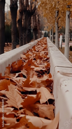 Fallen Autumn Leaves Fill a...