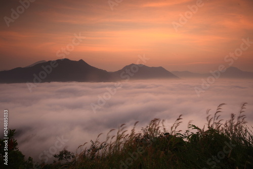 Phu Thok Mountain, sunrise over a sea of mist in Chiang Khan, Loei Province,
THAILAND photo