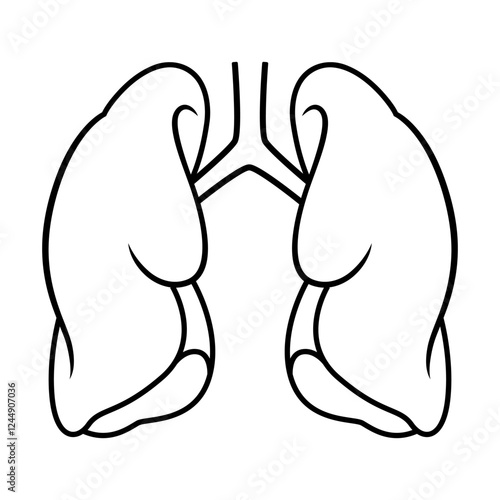 Drawing of both lungs and trachea