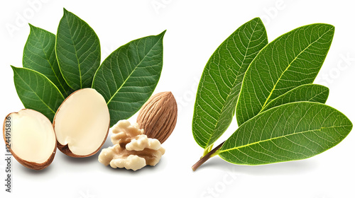 Nuts and Bay Leaves Composi...
