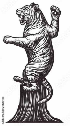 Tiger Roaring and Standing ...