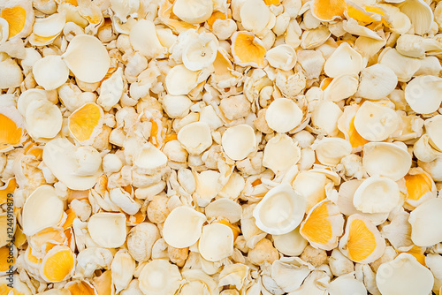 Dried Mushrooms Close-Up: T...