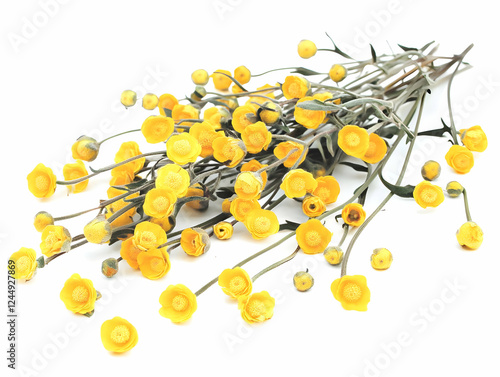 Vibrant Yellow Flowers Scat...