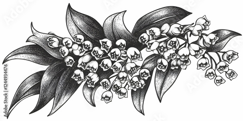 Detailed Illustration of Li...
