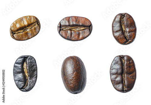 A Close-Up View of Six Roasted Coffee Beans Showcasing Variations in Color and Roast Levels photo