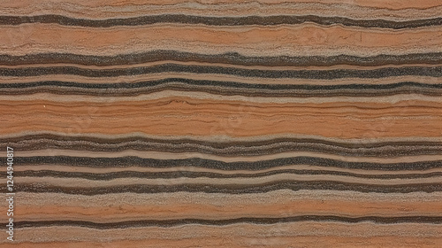 Brown and Black Sedimentary...