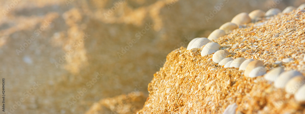 Summer natural background - seashells on the sand on the shore of the sea beach. Horizontal banner with copy space for text