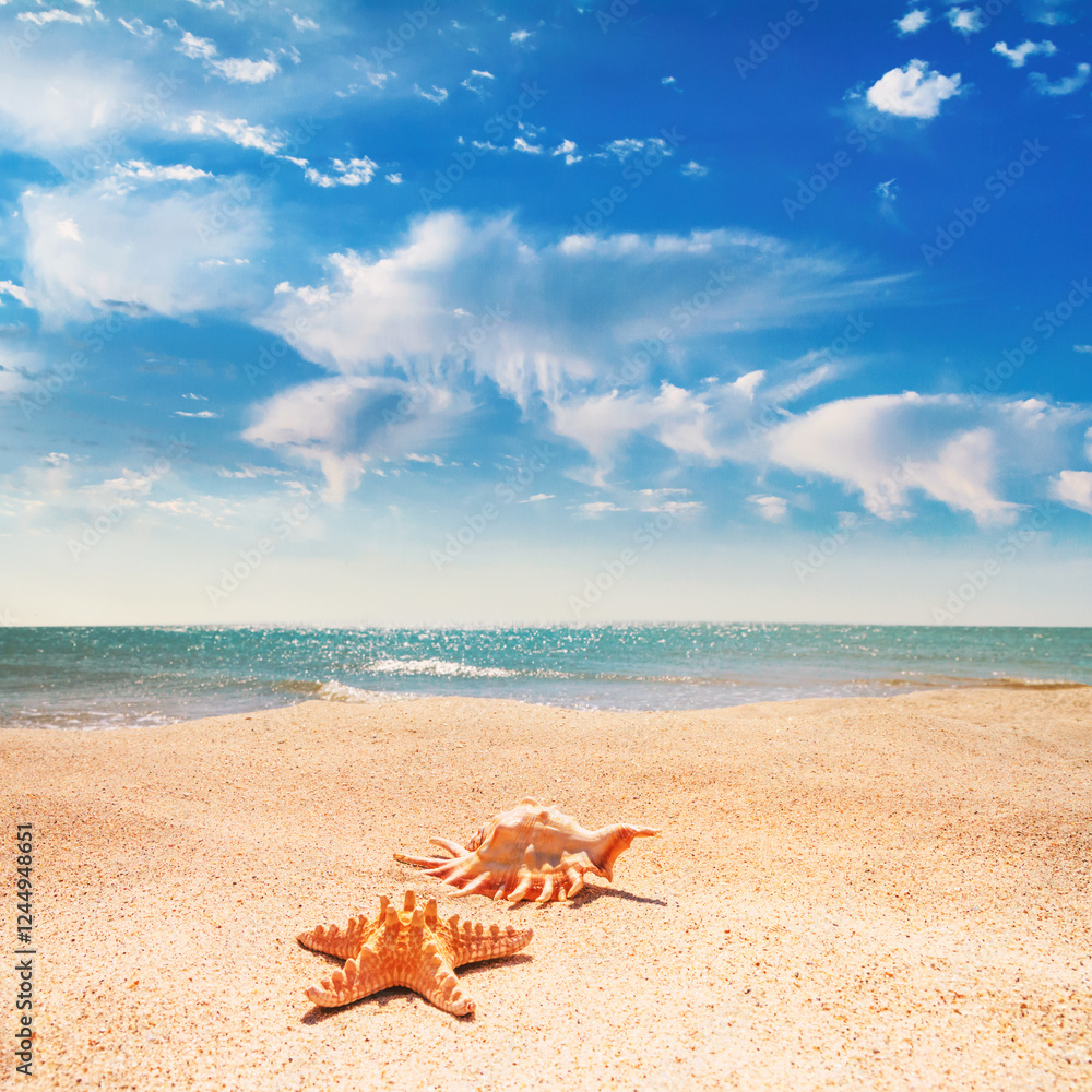 View of a beach with starfish and seashell on the sand under the hot summer sun, selective focus. Concept of sandy beach holiday, background with copy space for text