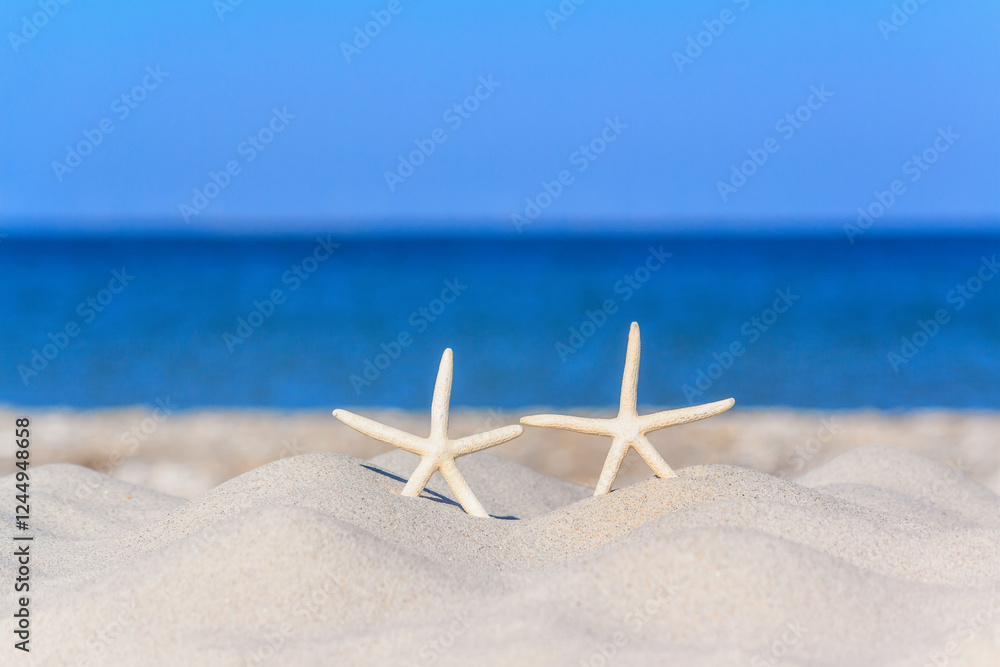 View of a beach with a pair of starfish on the sand under the hot summer sun, selective focus. Concept of sandy beach holiday, background with copy space for text