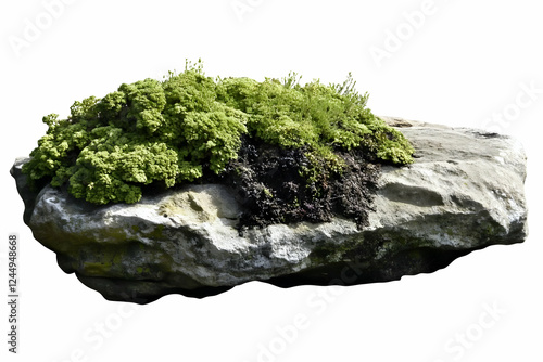 Green Plants Thrive on a We...