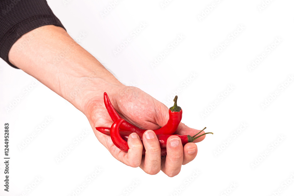 Close-up view of red chili pepper in the hands of a male cook, selective focus, isolated on white background
