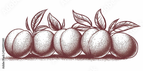 Five Ripe Plums with Leaves...