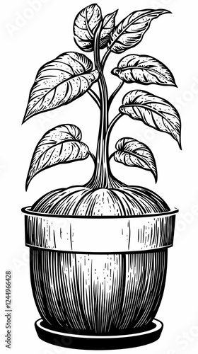 Vintage Woodcut Illustratio...