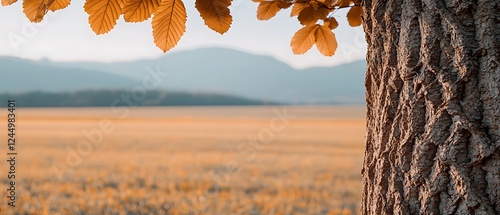 Autumn tree bark, field, mountains photo