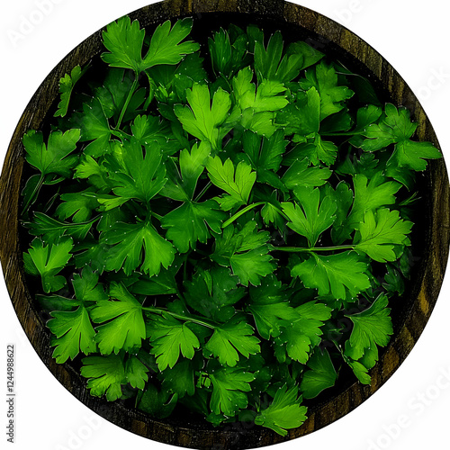 Fresh Parsley Leaves Fill a...