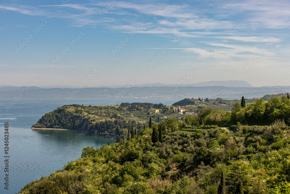 Scenic daytime landscape view near Izola, Slovenia, in spring Scenic daytime landscape view near Izola, Slovenia, in spring