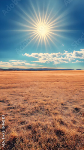Golden Grass Field Basking ...