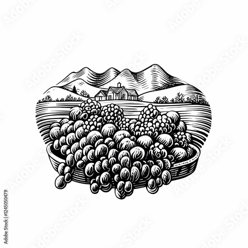Basket of Grapes and Raspbe...