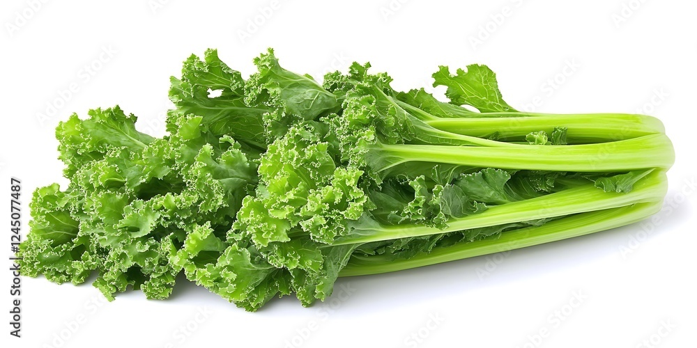Fresh Kale Bunch, White Background Fresh Kale Bunch, White Background